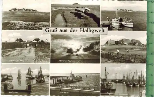 Gruß aus der Halligwelt,  Verlag: Ferd. Lagerbauer, Hamburg, POSTKARTE,  Erhaltung: I-II,