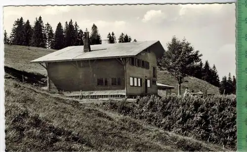 Gaststätte und Pension Krunkelbachhütte, Verlag:  Berger-Foto, Menzenschwand, Postkarte, unbenutzt, Erhaltung:I-II,