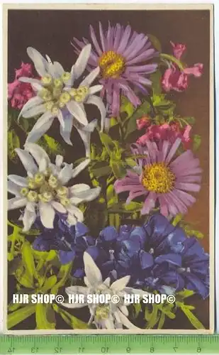 „Blumen, Photochromie-Offset, Serie 693 Nr.2010“ um 1950/1960 ungebrauchte Karte