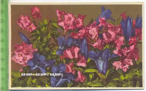 „Blumen, Photochromie-Offset, Serie 693 Nr.2011“ um 1950/1960 ungebrauchte Karte