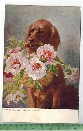 Strümpfelbach,Setter nach dem Gemälde von Camilla Zach-Dorn  um 1910/1920, Verlag: Carl Ulshöfer, Stuttgart,