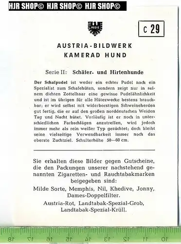 Der Schafpudel, c 29 Austria-Bildwerk, Kamerad Hund, Serie II: Schäfer und Hirtenhunde.