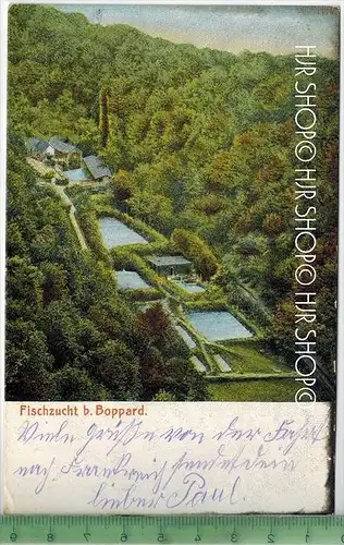 Fischzucht b. Boppard, Verlag: Dr. Keil`s Buchhandl. Boppard, Postkarte ohne Frankatur, mit Stempel  COBLENZ 10.11.14