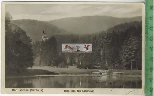 Bad Sachsa, Blick nach dem Katzenstein,  1929 -Verlag: R. Lederbogen, Halberstadt, POSTKARTE, mit Frankatur,