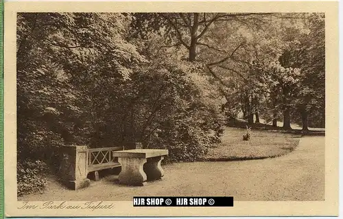 um 1920/1930 Ansichtskarte  „ Im Park zu Tiefurt“ , ungebrauchte Karte