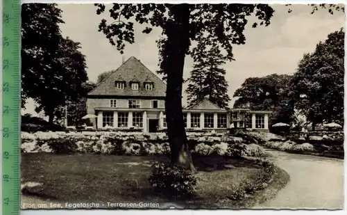Plön am See, Fegetasche-Terrassen-Garten ; 1957 -