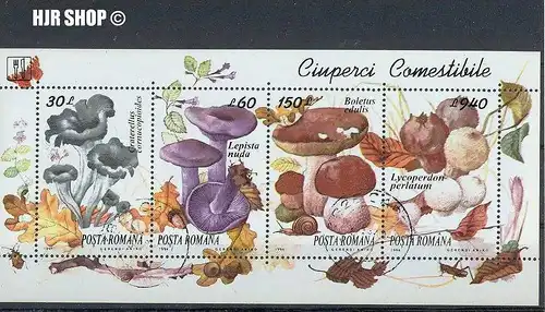 1994, Kleinbogen,  Pilze, gest.,