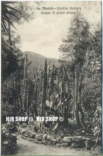 um 1920/1930 Ansichtskarte,  „La Mortola, Villa Hanbury“  ungebrauchte Karte