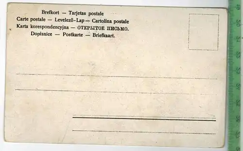 Chemnitz, v. Zimmermannsche Naturheilanstalt, Verlag: Otto Puschendorf, Chemnitz, POSTKARTE, Erhaltung: I-II,