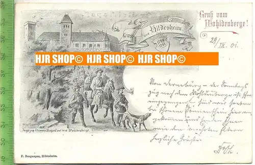 „Liho. Gruss aus Hildesheim“  29.9.1901  , Ansichtskarte mit Frankatur, mit Stempel,