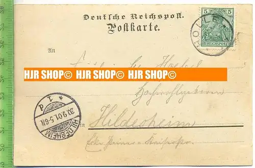 „Liho. Gruss aus Hildesheim“  29.9.1901  , Ansichtskarte mit Frankatur, mit Stempel,