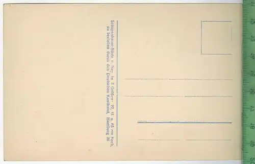 Schopenhauer, Verlag:  -----,  Postkarte, unbenutzte Karte, Erhaltung: I-II, Karte wird in Klarsichthülle verschickt.(H)