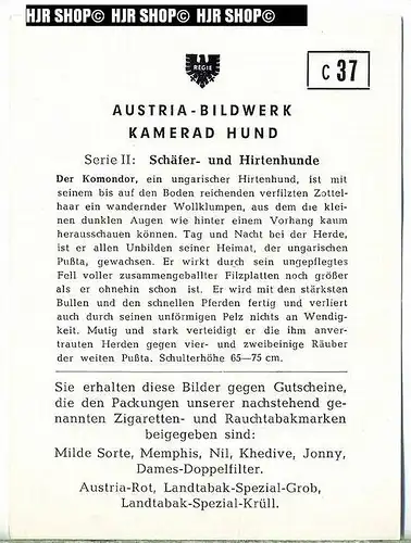 Der Komondor, c 37 Austria-Bildwerk, Kamerad Hund, Serie II: Schäfer und Hirtenhunde.