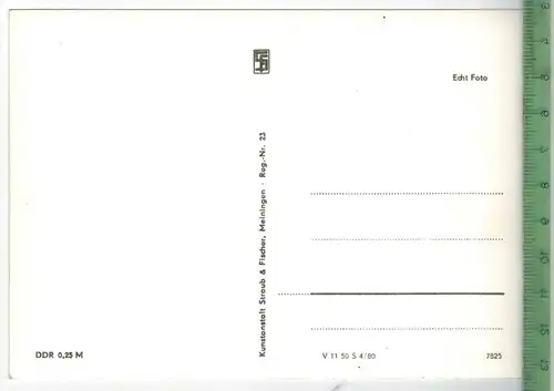 Bad Liebenstein Verlag: Traub & Fischer, Meiningen,  Postkarte, unbenutzte Karte, Maße: 14,5 x 10 cm, Erhaltung:I-II