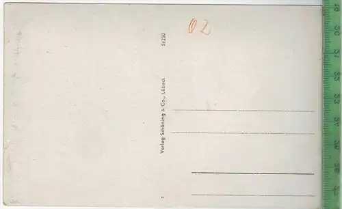 Wernigerode, oberes Mühlental, Verlag: Schöning & Co., Lübeck, POSTKARTE, Erhaltung: I-II, unbenutzt Karte