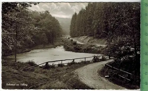 Neuhaus, Reihertal im Solling  um 1950/1960, Verlag: Foto-Fritz, Karlshafen/Weser  POSTKARTE, Erhaltung: I-II,