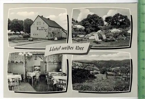 Hohegeiß/Hochharz, Hotel „Weißes Roß“ um 1960/1970, Verlag: Erich Farbowski, Bad Lauterberg  POSTKARTE, Erhaltung: I-II