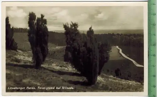 Lüneburger Heide, Totengrund bei Wilsede um 1940/1950, Verlag: Heinrich Kühne, Bremen,  POSTKARTE, Erhaltung: I-II,