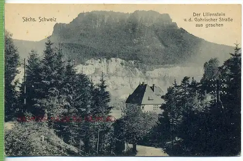 Sächs. Schweiz-Der lilienstein v.d. Gohrischer Straße aus gesehen, um 1920/1930,  Verlag: Max Köhler, Dresden