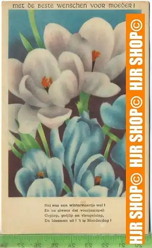 „Blumen“ um 1950/1960, Ansichtskarte  ungebrauchte Karte