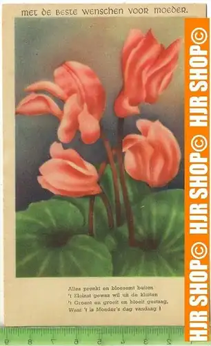 „Blumen“ um 1950/1960, Ansichtskarte  ungebrauchte Karte