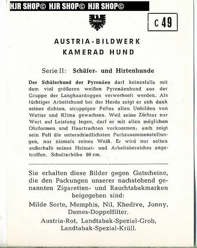 Der Schäferhund der Pyrenäen, c 49 Austria-Bildwerk, Kamerad Hund, Serie II: Schäfer und Hirtenhunde.