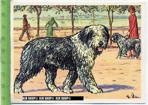 Der Altenglische Schäferhund oder Bobtail, c 35 Austria-Bildwerk, Kamerad Hund, Serie II: Schäfer und Hirtenhunde.