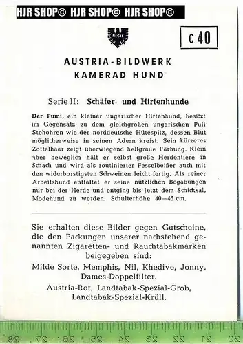 Der Pumi, c 40 Austria-Bildwerk, Kamerad Hund, Serie II: Schäfer und Hirtenhunde.