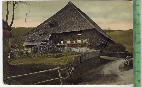 Schwarzwaldhaus bei Neustadt 1921, Verlag: Fr. Walter, München, Postkarte, Frankatur,  Stempel, RIPPOLDSAU 25.7.21
