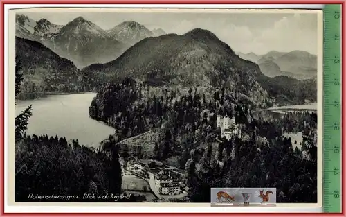 Hohenschwangau. Blick v.d. Jugend, Verlag: Oskar Glink, Kempten, POSTKARTE, Erhaltung: I-II, Karte