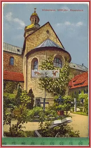 Hildesheim, 1000 jähr. Rosenstock -1911-, Verlag: HILDESIA, Hildesheim. 9223, POSTKARTE  mit Frankatur, mit Stempel,