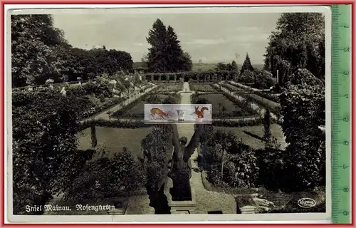 Insel Mainau, Rosengarten-1959-, Verlag:- ---------, POSTKARTE  mit Frankatur,  mit Stempel, KONSTANZ  8.7.39