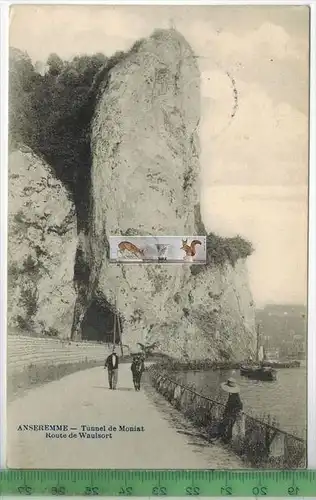 Anseremme-Tunnel de Moniat Route de Waulsort-1915-, Verlag: Ed. Nels. Brux.,  FELD-POSTKARTE ohne Frankatur,