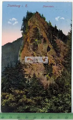 Ilsenburg-Ilsenstein  1931 -Verlag: R. Lederbogen, Halberstadt,   Postkarte mit Frankatur, mit Stempel BAD HARZBURG