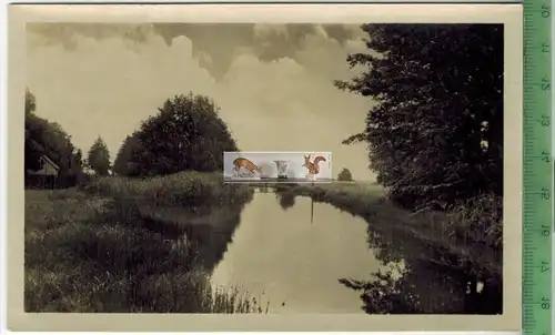 Senftenberg, Schwarze Elster, Verlag: VEB-Reichenbach,  POSTKARTE, Erhaltung: I-II, unbenutzt