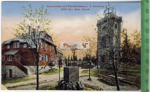 Aussichtsturm und Unterkunftshaus a. d. Auersburg um 1920 -Verlag: Franz Landgraf, Zwickau,   Postkarte,