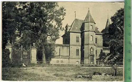 Champagne - Kamerad, Nr. 96, Verlag: FELD-Postkarte, Rückseite beschrieben, Erhaltung: I-II, unbenutzt, Karte