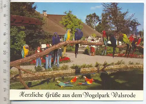 Vogelpark Walsrode – Ara-Freianlage, Verlag: Horst Müller, Postkarte,  Erhaltung: I –II, Karte wird in Klarsichthülle