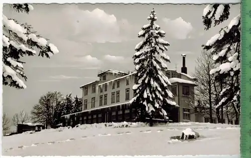 Berghotel Stöberhai  um 1960/1970 Verlag: Carl Thoericht, Hann Münden  POSTKARTE, Erhaltung: I-II,  Karte wird in Klarsi