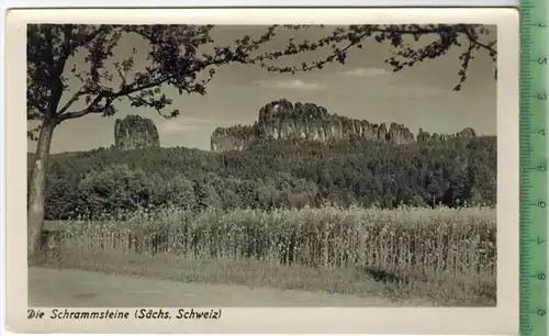 Sächs. Schweiz, Die Schrammsteine um 1940/1950, Verlag: H. Sander, Berlin, POSTKARTE, Erhaltung: I-II