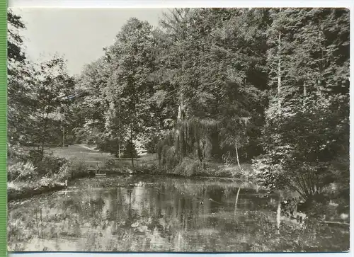 Tannenfeld, Fachkrankenhaus für Neurologie und Psychiatrie, im Park um 1960/1970 Verlag:--, Bild und Heimat, POSTKARTE