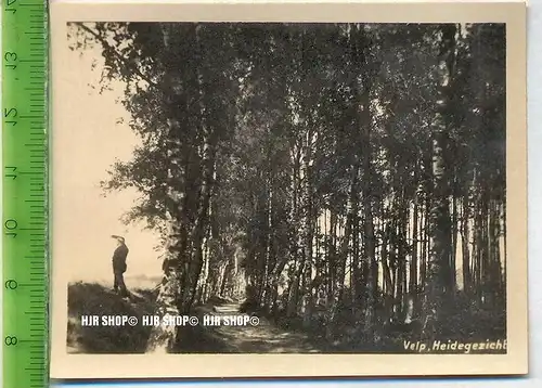 Velp en Rozendaal, ca. 1920/1930,  Sammelfoto 8,6 x 6,7 cm,  Velp, Heidehezicht