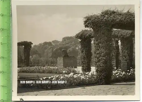 Essen, Grugapark, ca. 1930/1940,  Sammelfoto 9,2 x 7 cm,  Pergolagarten mit Plastik