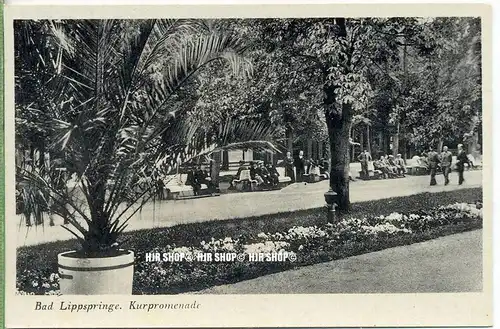 „ Bad Lippspringe, Kurpromenade“   um 1930/1940,  Ansichtskarte, ungebrauchte Karte
