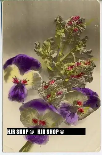 um 1910/1920 Ansichtskarte, Feldpost „ Blumen“ mit Stempel