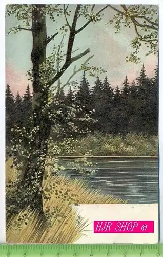 Waldsee, Karte um 1900, ungelaufen