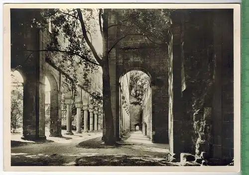 Paulinzella, Ruinen der Benediktiner-Klosterkirche, Verlag: -------,  Postkarte, unbenutzte Karte, Maße: 15 x 10,5 cm