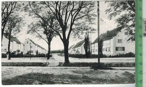 Dambitzer Straße in Elbing, , 1959 Verlag: Elbinger Nachrichten, Uelzen,- POSTKARTE, Frankatur,  Stempel,