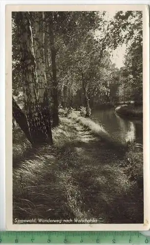 Spreewald, Wanderweg nach Watschafska, Verlag: ---------,  Postkarte (Foto), unbenutzte Karte,  Erhaltung: I-II,