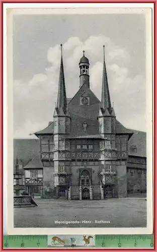 Wernigerode Harz-Rathaus, Verlag: Willi Koch, Halberstadt,  POSTKARTE, Erhaltung: I-II, unbenutzt
